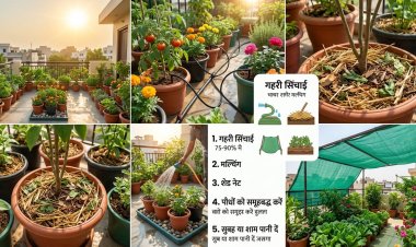 प्रचंड गर्मी में घर से बाहर जाने पर बागवानी की देखभाल के असरदार उपाय