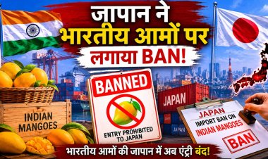 जापान ने भारतीय आमों पर लगाया बैन...