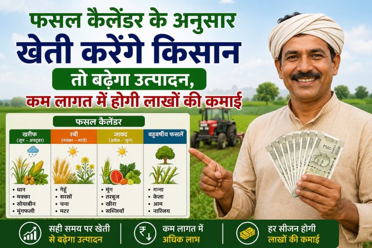 फसल कैलेंडर के अनुसार खेती करेंगे किसान तो बढ़ेगा उत्पादन, कम लागत में होगी लाखों की कमाई