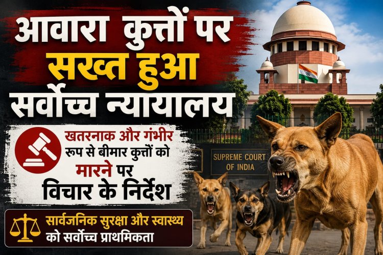 आवारा कुत्तों पर सख्त हुआ सर्वोच्च न्यायालय, खतरनाक और गंभीर रूप से बीमार कुत्तों को मारने पर विचार के निर्देश