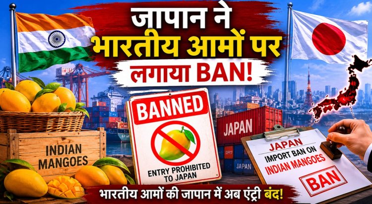 जापान ने भारतीय आमों पर लगाया बैन...