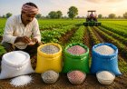 यूरिया से दूरी बढ़ा रहे किसान