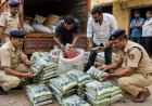 नकली कपास बीज के खेल का खुलासा