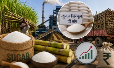 लागत से नीचे बिक रही चीनी, मिलों ने सरकार से मांगा उचित मूल्य