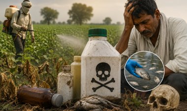 कीटनाशक के जहर से खतरे में किसानों की जिंदगी