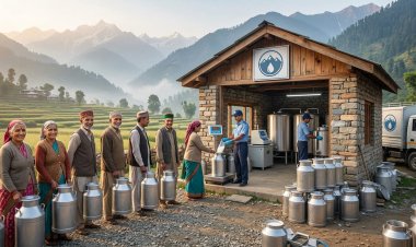 दूध खरीद सीमा बढ़ी किसानों को मिलेगा लाभ