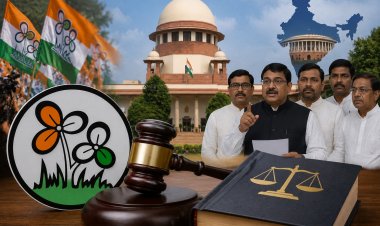 टीएमसी विलय विवाद पर उठे सवाल