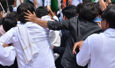 कॉकरोच पार्टी संस्थापक पर हमला बना चर्चा का विषय