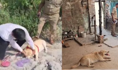 संभल में छह साल की बच्ची से दुष्कर्म का आरोपी गिरफ्तार