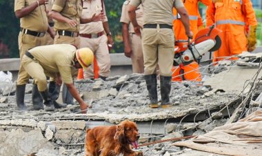 कोलकाता हादसे में मची चीख पुकार