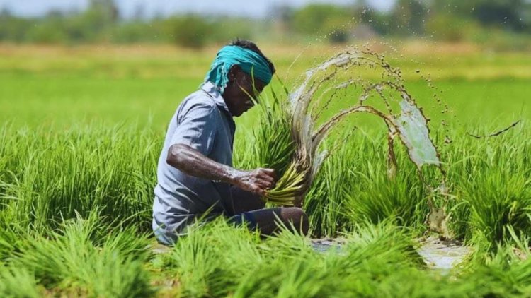 भीषण गर्मी से खरीफ फसलों पर खतरा