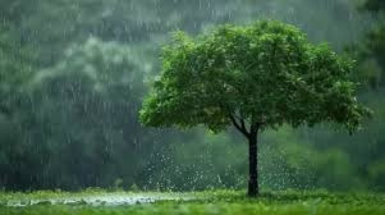 11 साल में सबसे कमजोर मॉनसून का संकेत