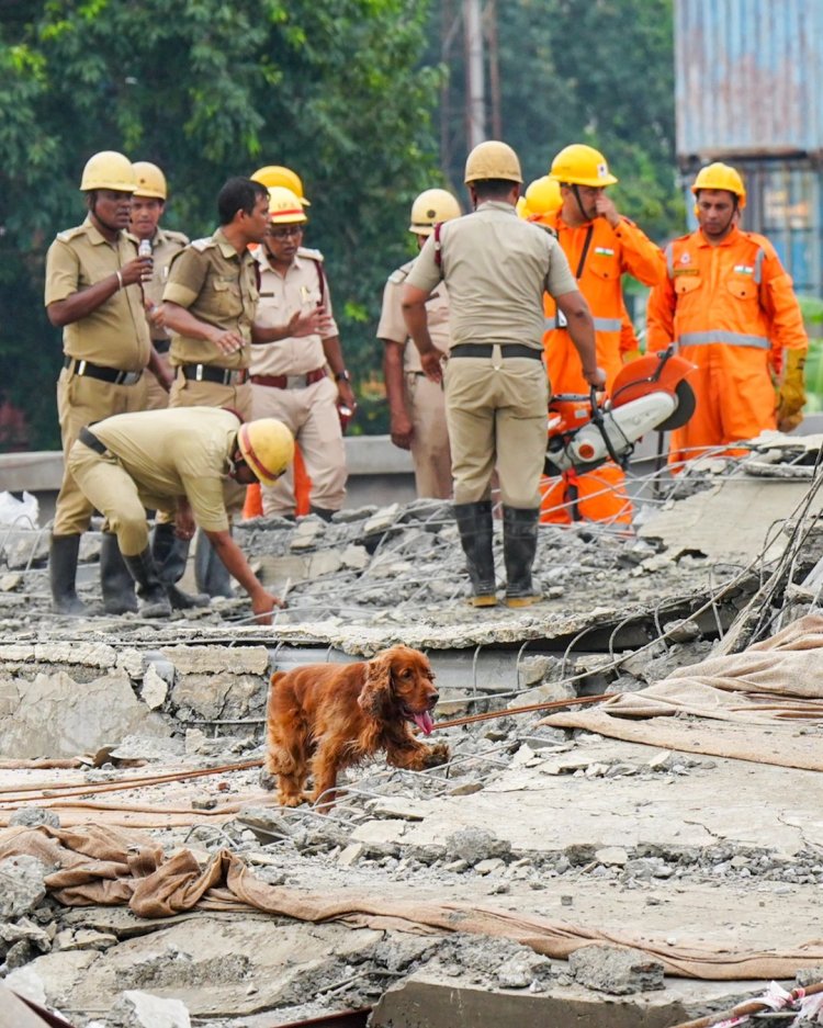 कोलकाता हादसे में मची चीख पुकार