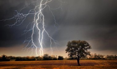 अल नीनो के असर से जुलाई में कम बारिश की आशंका, खेती और महंगाई पर बढ़ सकता है दबाव