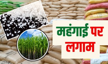 1 अगस्त से चीनी जमाखोरों पर सरकार का बड़ा एक्शन!