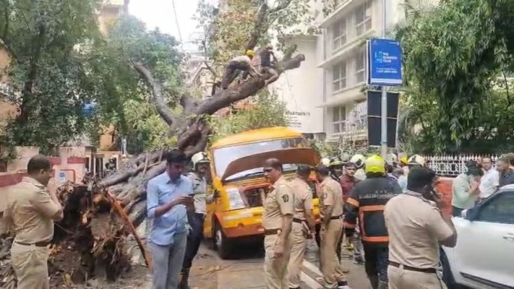 मुंबई के चेंबूर स्कूल बस हादसे में बड़ा एक्शन