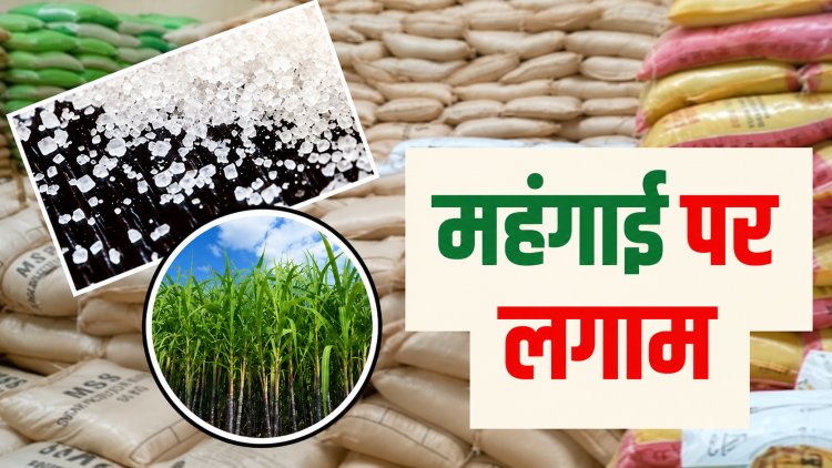 1 अगस्त से चीनी जमाखोरों पर सरकार का बड़ा एक्शन!