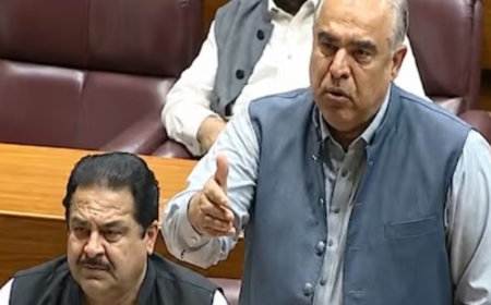 PAK सांसद बोले- UAE में पाकिस्तानियों से भेदभाव हुआ:फ्लाइट कैंसिल होने के बाद होटल में कमरा नहीं मिला; भारतीय-अमेरिकी यात्रियों को रहने दिया