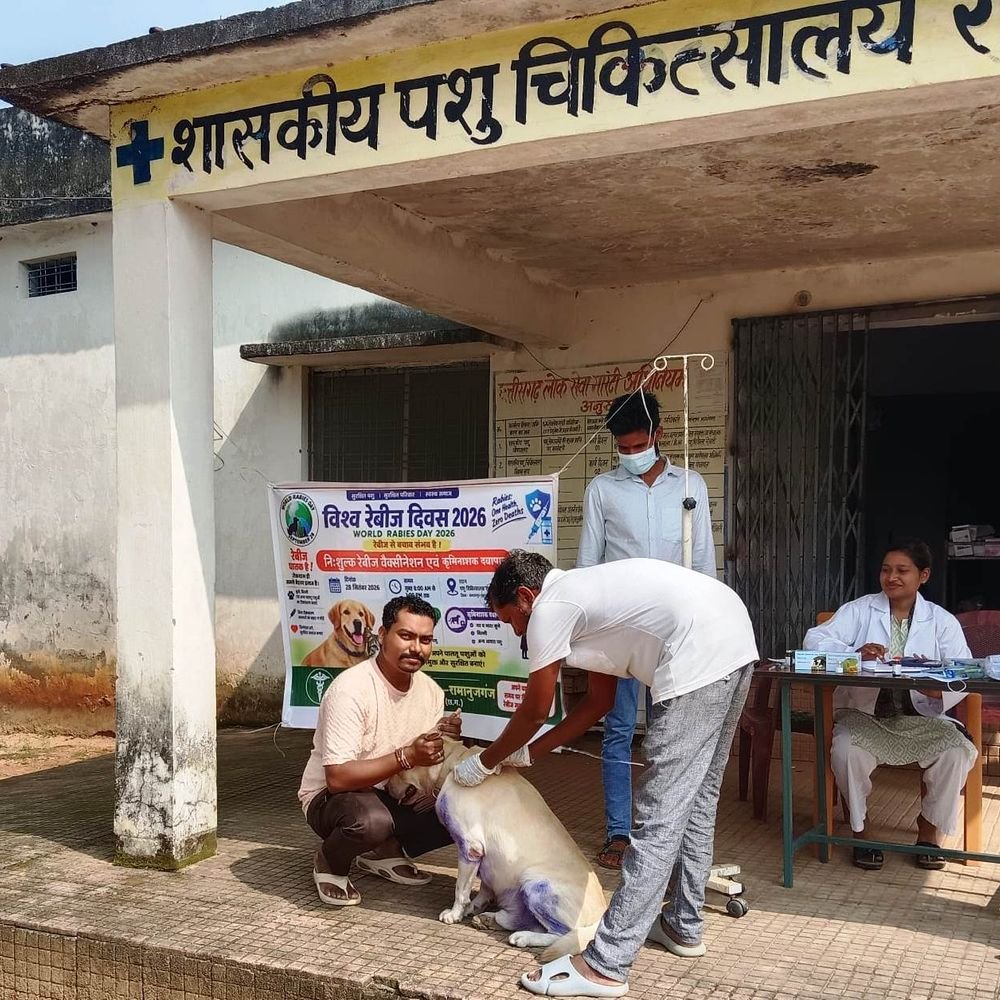 रैबीज दिवस: पालतू कुत्ते-बिल्लियों का मुफ्त टीकाकरण