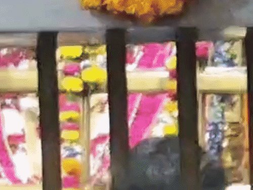विंध्याचल धाम में 11 अक्टूबर से शारदीय नवरात्रि मेला:मिर्जापुर में गंगा घाटों पर बैरिकेडिंग, 24 घंटे तैनात रहेगी पुलिस