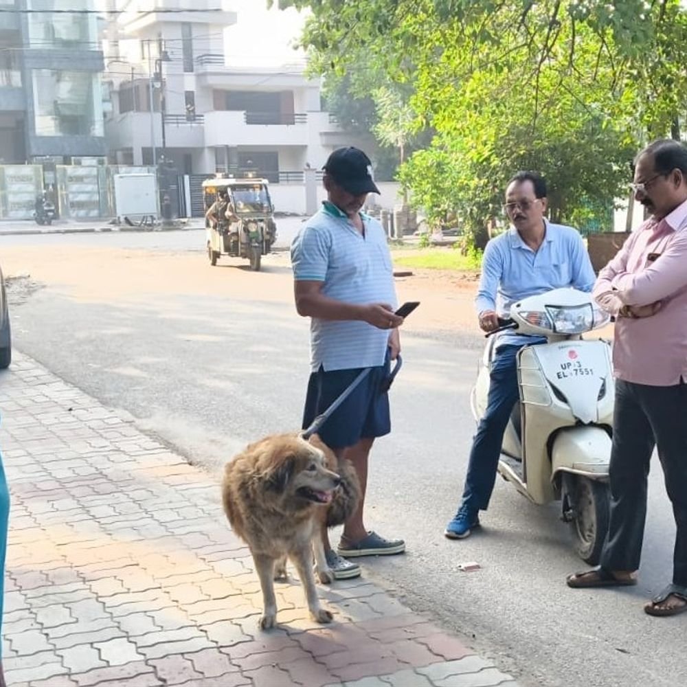 बिना लाइसेंस कुत्ता पाला तो लगेगा 5,000 का जुर्माना:लखनऊ नगर निगम ने चलाया चेकिंग अभियान, वसूले 20 हजार