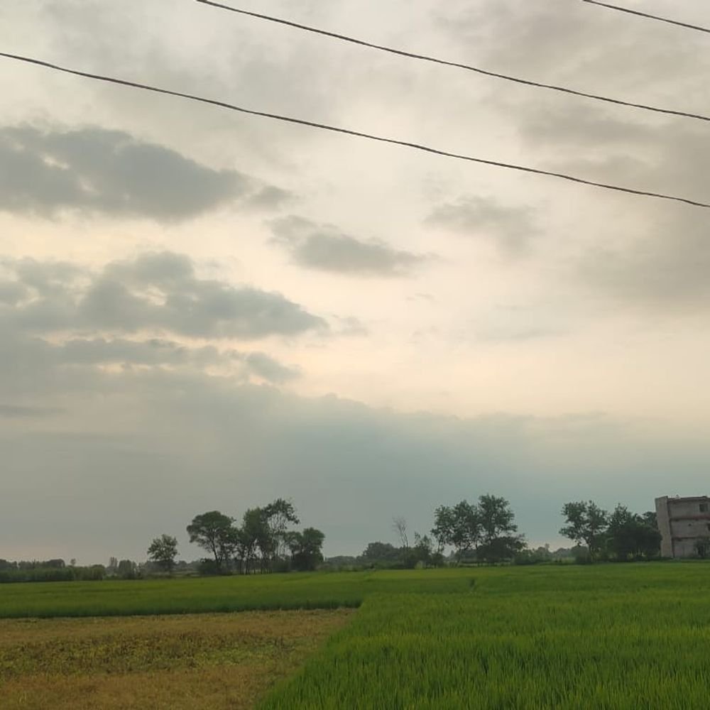 आजमगढ़ में रविवार को भी बारिश का अलर्ट:शनिवार को हुई थी जिले में जोरदार बारिश, दो दर्जन से अधिक गिर गए थे पेड़
