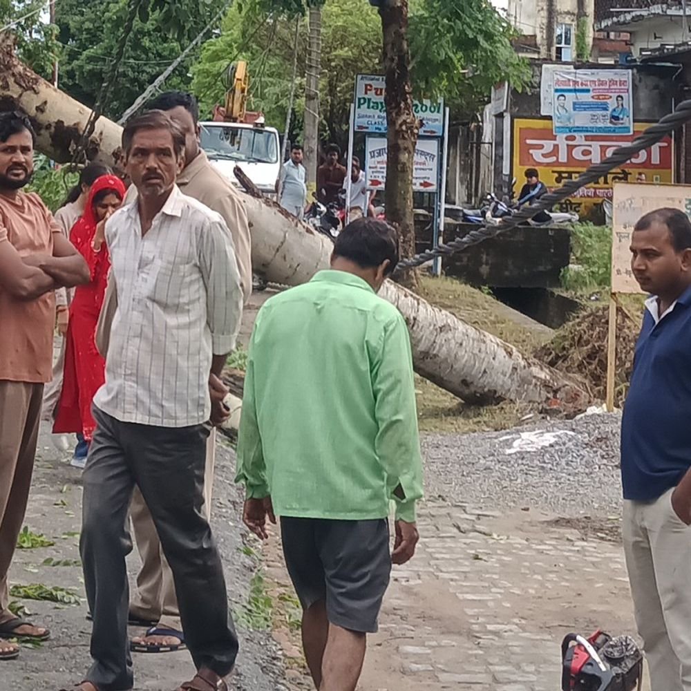 इंदिरा नगर में बिजली के तार पर गिरा पेड़:बांसपार रोड पर आवागमन और बिजली सप्लाई ठप, लोगों को परेशानी