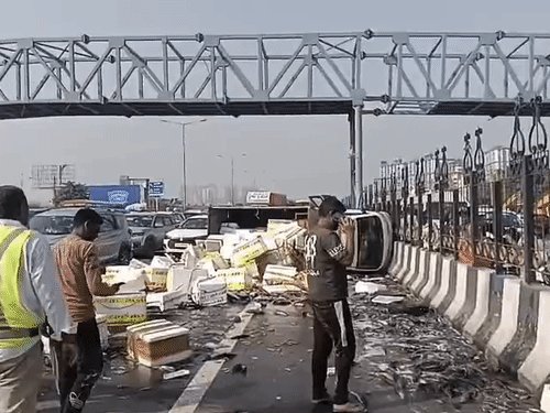 गाजियाबाद में एक्सप्रेस वे पर मछलियों से भरी डीसीएम पलटी:सड़क पर तड़पती रहीं मछलियां, मछलियां उठाने चले लोगों को ट्रैफिक पुलिस ने रोका