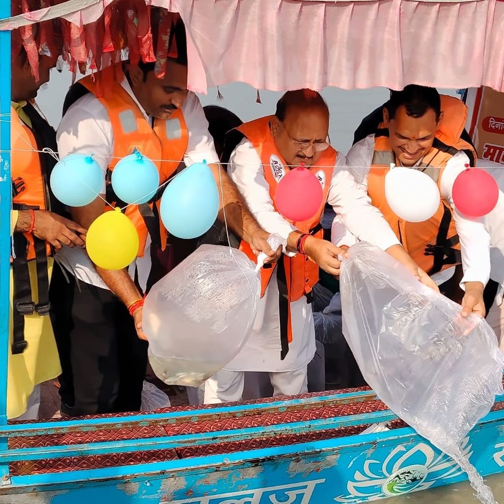घाघरा नदी में छोड़ी गईं 50 हजार छोटी मछलियां:मछुआरों की आजीविका को मिलेगा सहारा, संजय सेतु घाट पर हुआ रीवर रैचिंग प्रोग्राम