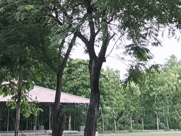 झांसी में चल रहीं ठंडी हवाएं:बीते 24 घंटे में हुई 28 मिमी. बारिश, आज हल्की बारिश के आसार