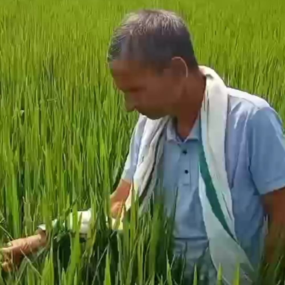 सॉयल हेल्थ कार्ड से किसानों की लागत घटी, फसल सुधरी:मिट्टी की जांच से मिला खाद का सही हिसाब, बदली खेती की तस्वीर