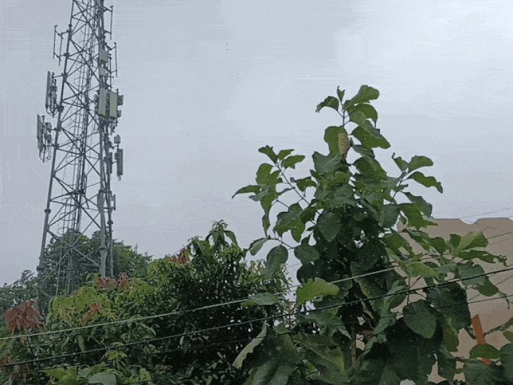 झांसी में हल्की बारिश, चल रहीं हवाएं:आज बिजली गिरने का यलो अलर्ट, 29℃ रहेगा टेम्परेचर