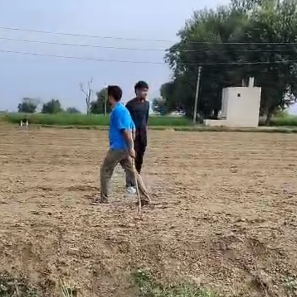 खेत में काम कर रहे परिवार पर हमला:बागपत में दो लोग घायल, लाठी-डंडों और तमंचे के बट से मारपीट का आरोप