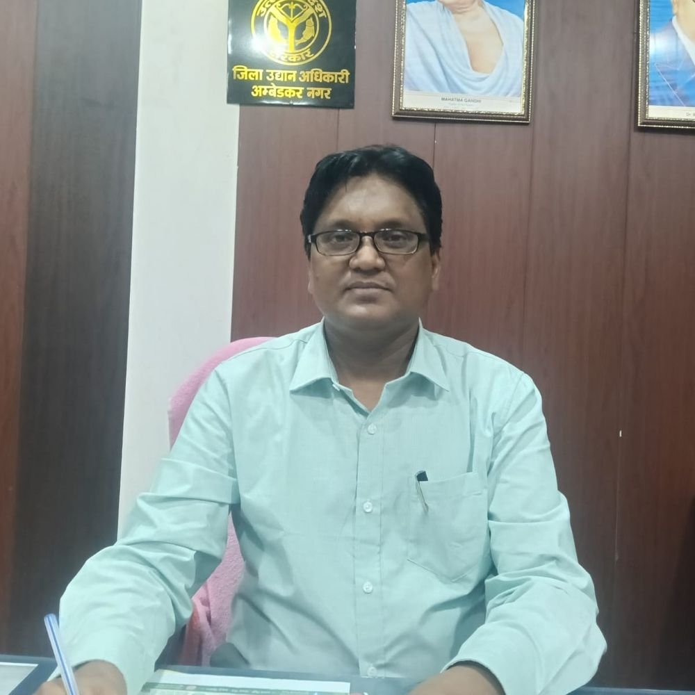 यूपी सरकार आलू भंडारण पर देगी 100 रुपये/क्विंटल अनुदान:किसानों को मिलेगा लाभ, 16 अक्टूबर 2026 तक करें आवेदन