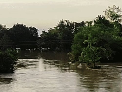 राप्ती नदी खतरे के निशान से 70 सेमी ऊपर:श्रावस्ती में पेड़ गिरने से 1 की मौत, 6 घायल; प्रशासन अलर्ट