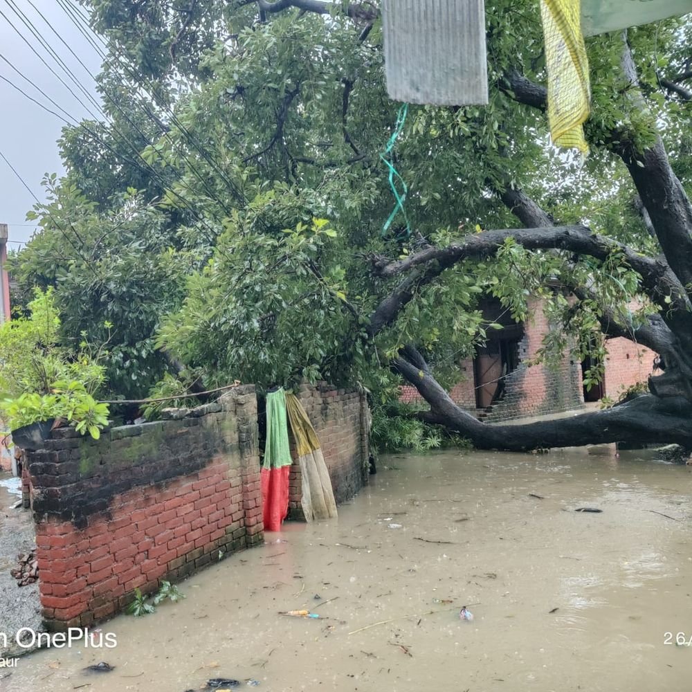 लखीमपुर में बारिश-तेज हवाओं से सड़कें हुईं जाम:लखीमपुर-मैगलगंज, कस्ता-सीतापुर और पलिया मार्ग पर गिरे पेड़; कई किमी पैदल चले लोग