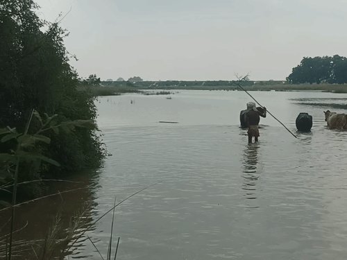 फेफना में गंगा का जलस्तर फिर तेजी से बढ़ा:चितबड़ागांव टोंस नदी भी उफान पर, निचले इलाकों में खतरा मंडराया; निगरानी की मांग
