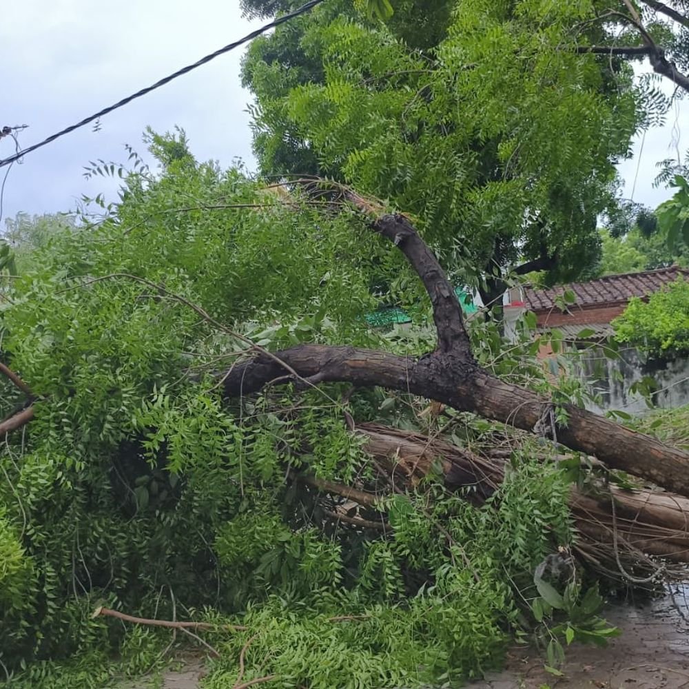 अंबेडकरनगर में 36 घंटे बिजली गुल, लाखों लोग परेशान:90 पोल टूटे, दर्जनभर ट्रांसफार्मर खराब; भीटी-राजेसुल्तानपुर समेत कई इलाकों में अंधेरा