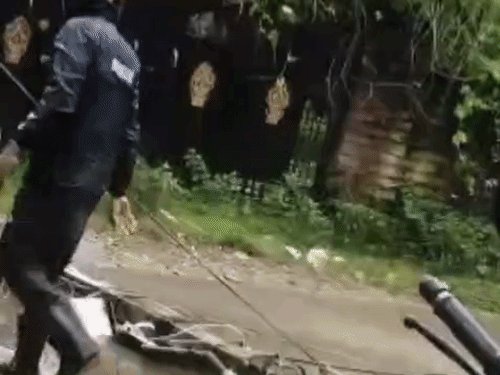 बलरामपुर में आंधी-बारिश का असर:कई इलाकों की बिजली गुल, पेड़ गिरने से लाइनें टूटीं