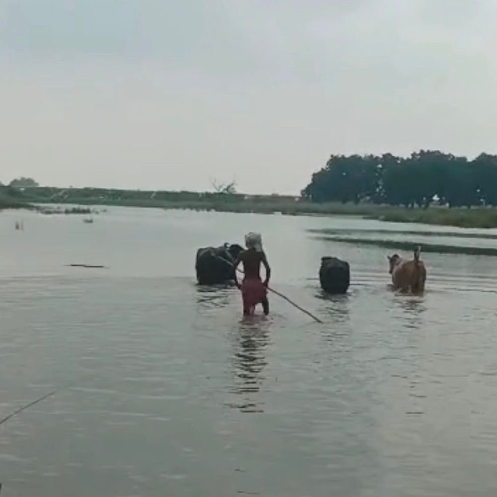 बलिया में गंगा-सरयू नदियां खतरे के निशान से ऊपर:गंगा एक मीटर और सरयू 80 सेमी ऊपर, निचले इलाकों में बाढ़ का डर