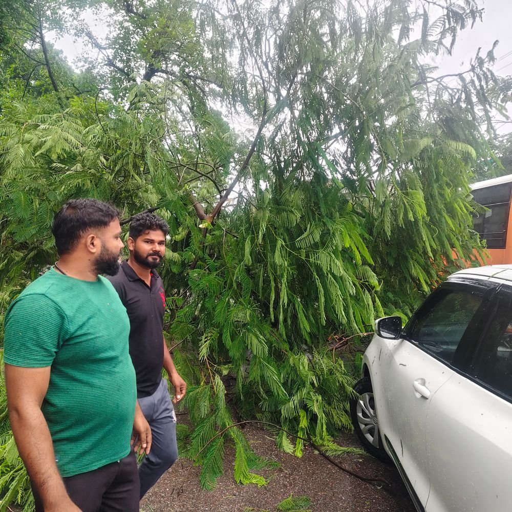 बाराबंकी में कार पर गिरा विशाल पेड़, ड्राइवर बाल-बाल बचा:डीएम आवास के पास बारिश में हुआ हादसा, लोगों ने सुरक्षित निकाला; सड़क बंद