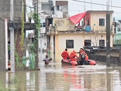 पांडू नदी उफनाई, 10 गांव प्रभावित:मेहरबान सिंह पुरवा की सड़कों पर 4 फीट भरा पानी, पूर्व सांसद सुखराम सिंह ने टैक्टर से किया निरीक्षण