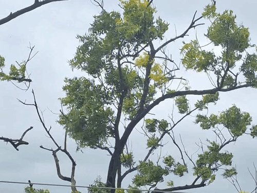 गाजीपुर में तेज हवाओं के साथ बारिश की चेतावनी:24 घंटे में 22.8 मिमी बारिश, भारी बारिश का अलर्ट
