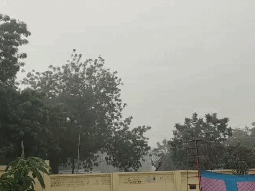 तस्वीरों में देखिए मेरठ में बारिश का असर:बाजारों में पसरा सन्नाटा, स्कूल भी रहे बंद