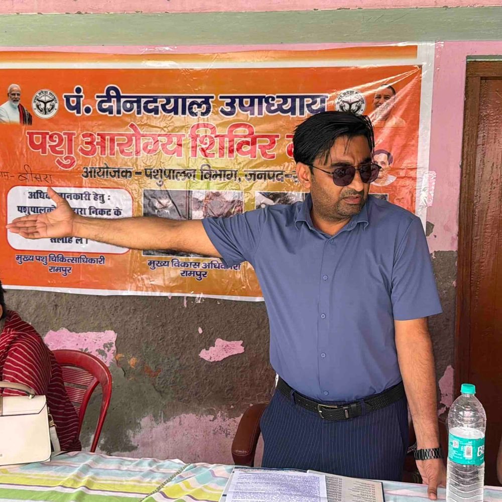 रामपुर में पशुओं को लगे टीके, हुई टैगिंग:पशुपालकों को बीमारी से बचाव और सरकारी योजनाओं की जानकारी मिली