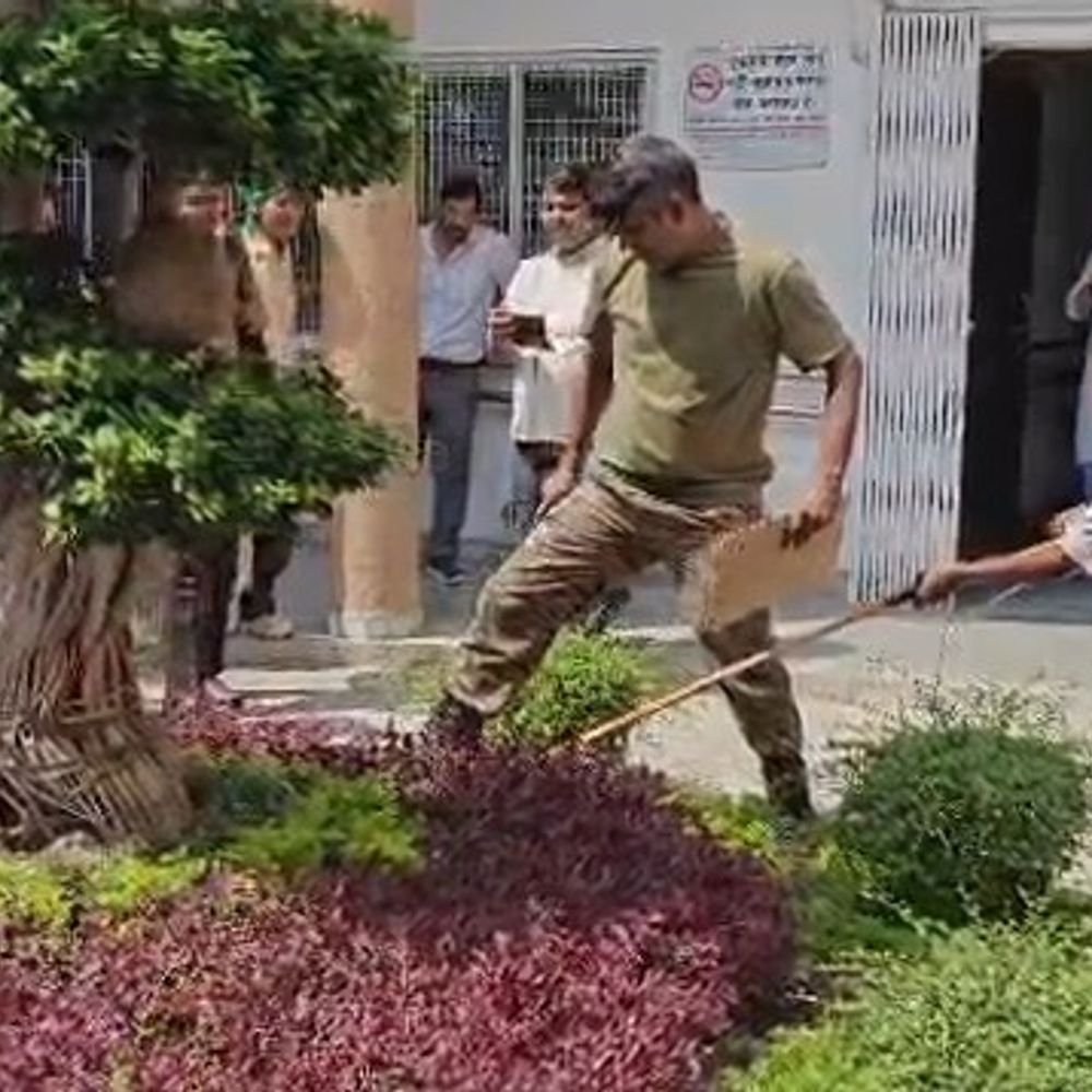 ग्रेटर नोएडा कलेक्ट्रेट परिसर में निकला सांप:फौजी ने पैर से दबाया, वन विभाग ने रेस्क्यू कर जंगल में छोड़ा