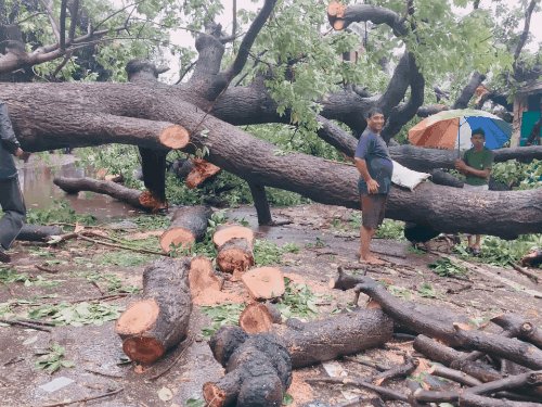 कानपुर में बारिश-तेज हवा से बिजली सप्लाई बाधित:20 HT-LT पोल क्षतिग्रस्त,15 ट्रांसफॉर्मरों मे फाल्ट, केस्को ने कहा- तेजी से हो रहा काम