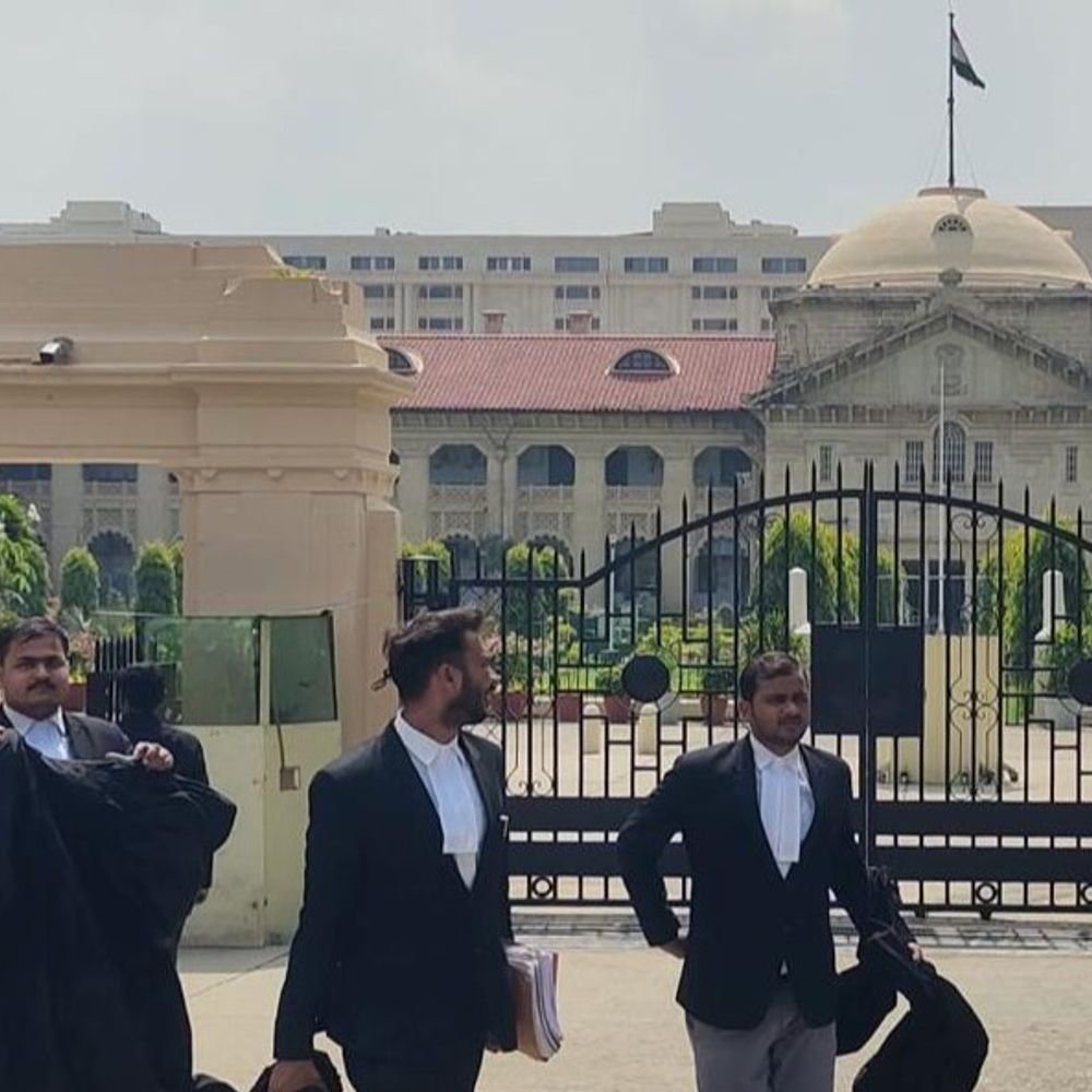 कानपुर गौशाला सोसाइटी के खिलाफ अपीलीय आदेश रद्द:हाईकोर्ट ने कहा- विवादित आदेश अनियमित नहीं बल्कि अवैध