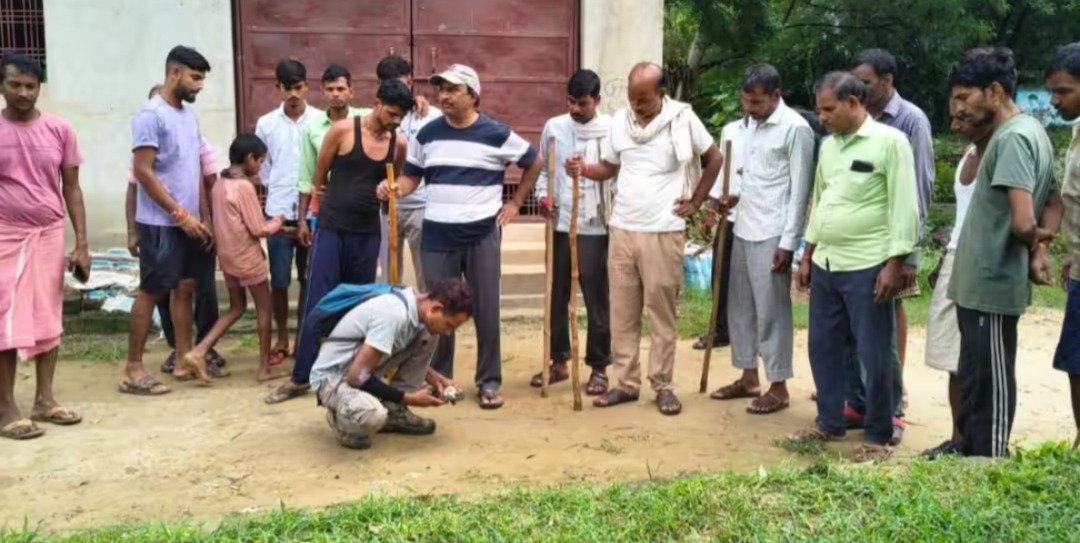 सीतापुर में सियार का आतंक, 5 साल की बच्ची समेत 6 लोगों पर हमला