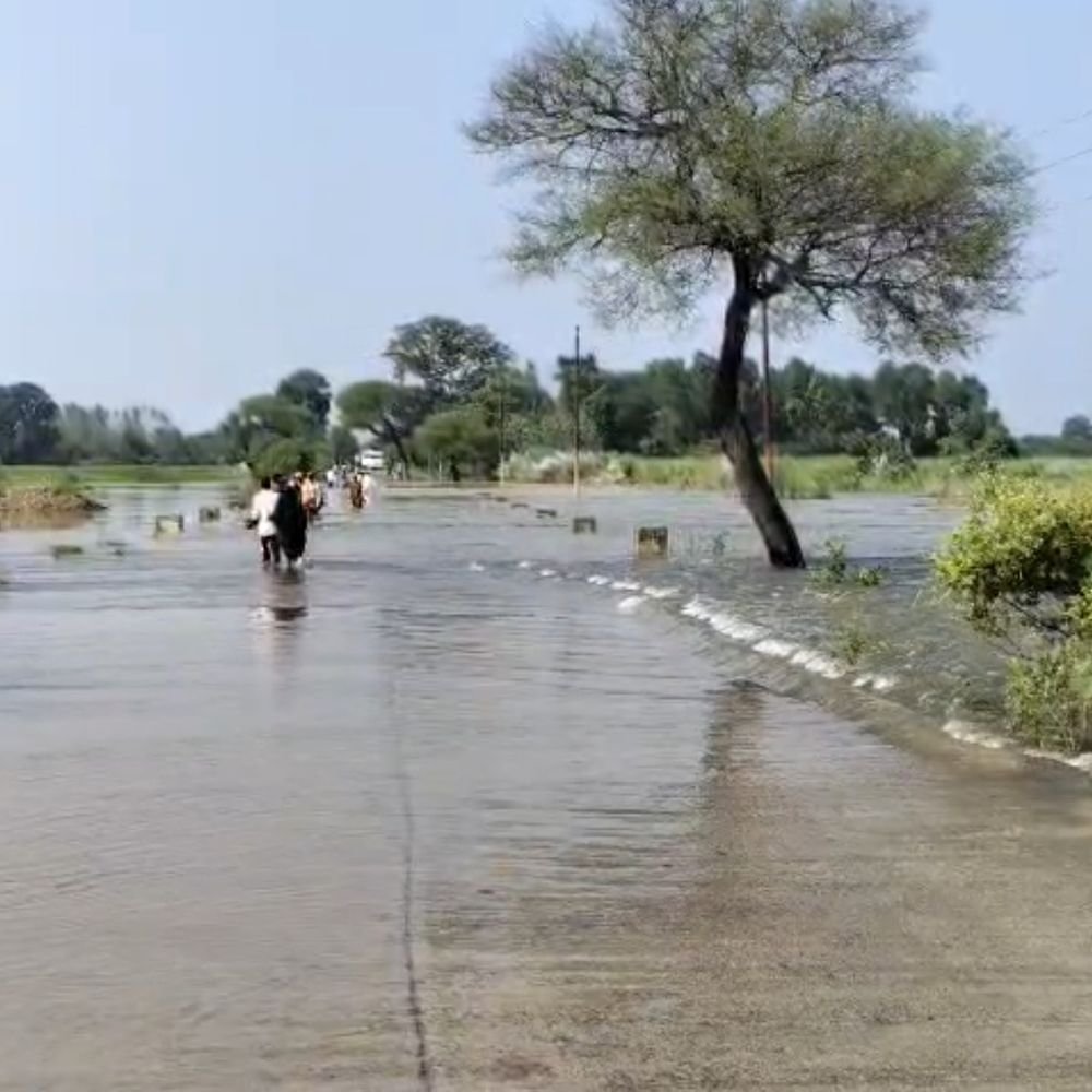 गौरा चौराहा जलमग्न-दंतरंगवा डीप पर दो फीट से ज्यादा पानी:बलरामपुर में बारिश से जनजीवन प्रभावित, पुलिस थाने में भी भरा पानी, विधायक ने किया दौरा